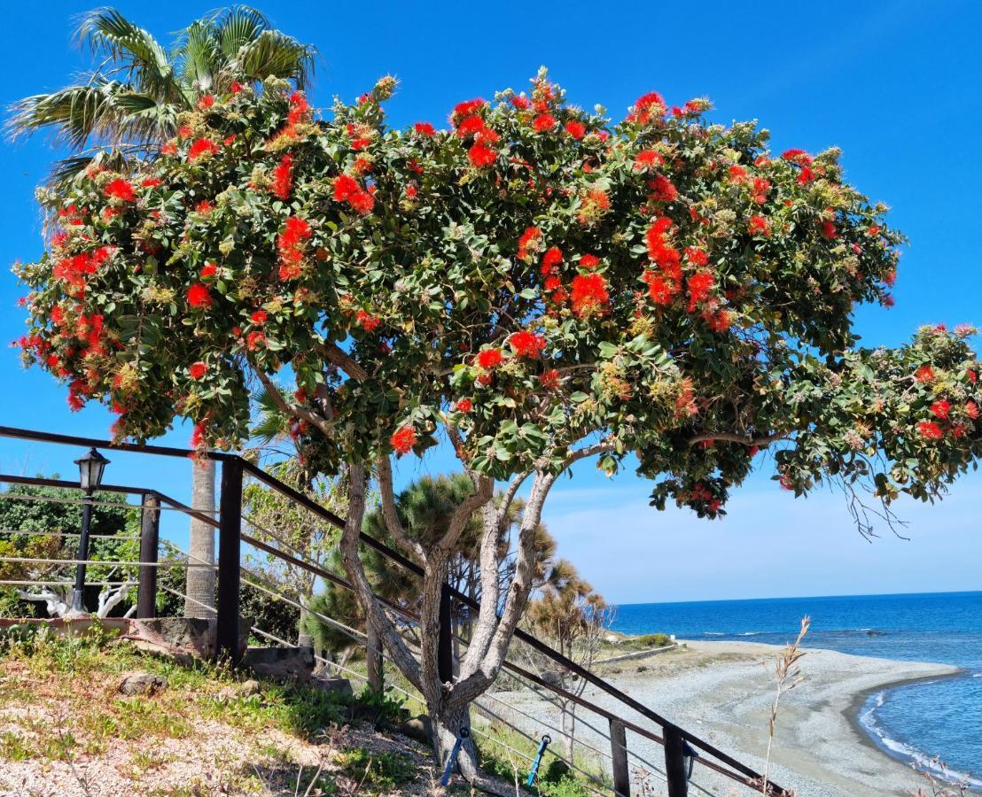 Astrofegia Beachfront Villa Πωμός Εξωτερικό φωτογραφία