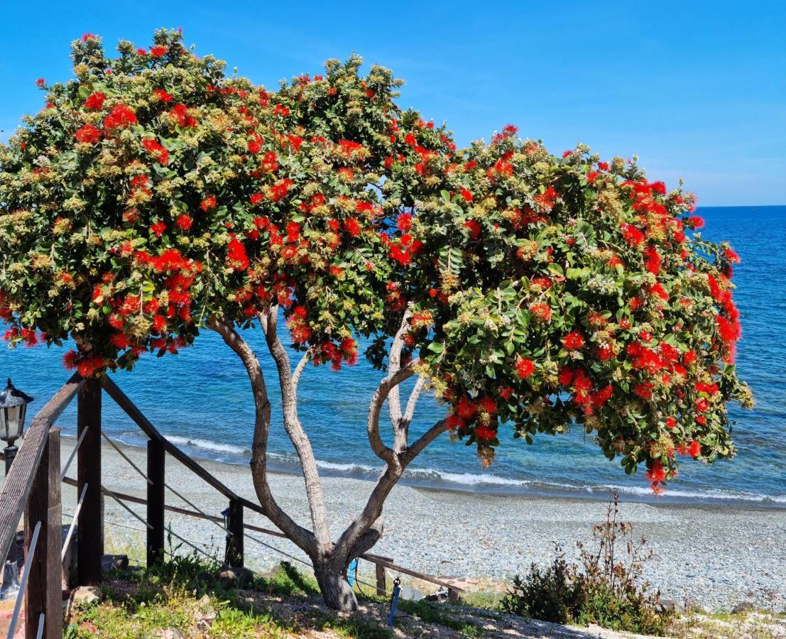 Astrofegia Beachfront Villa Πωμός Εξωτερικό φωτογραφία